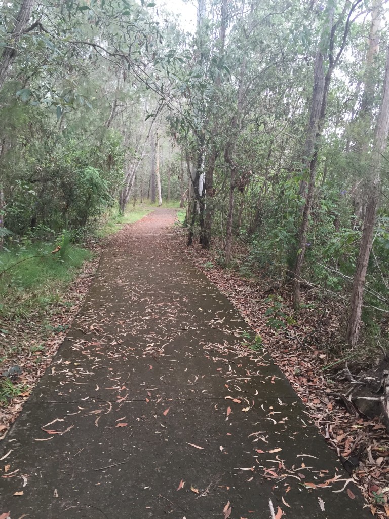 Olive Lantern - Bush Track